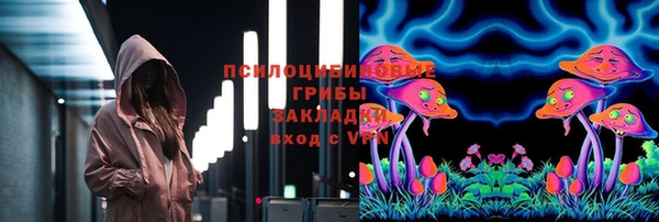 ПСИЛОЦИБИНОВЫЕ ГРИБЫ Бронницы