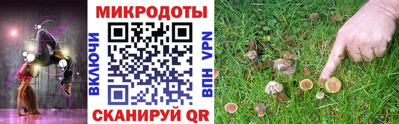 Галлюциногенные грибы мицелий  Копейск 
